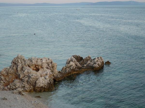 foto k příspěvku  od johanik