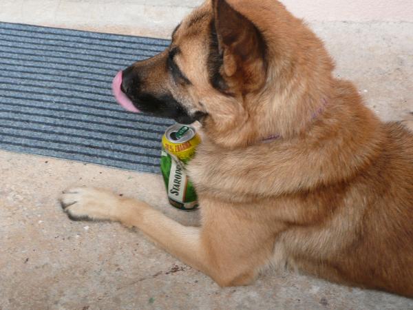 foto k příspěvku  od Alda