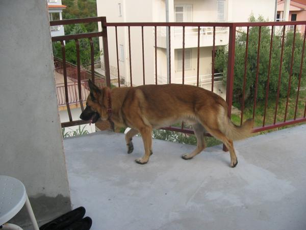 foto k příspěvku  od z0diaC