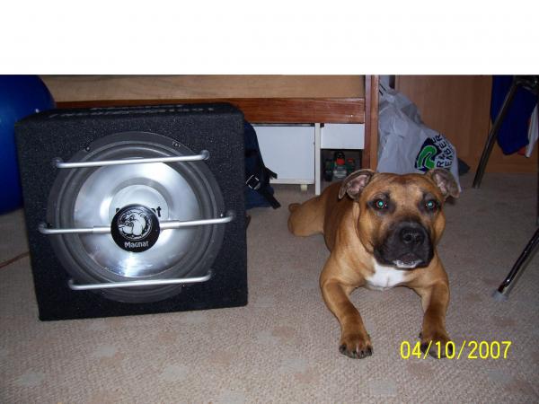 foto k příspěvku  od MaxPayne