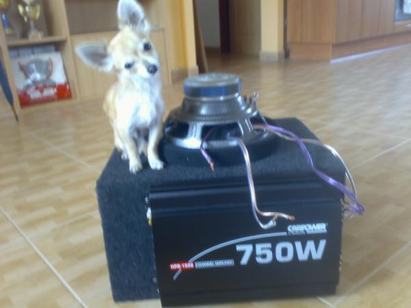 foto k příspěvku  od BekyCar