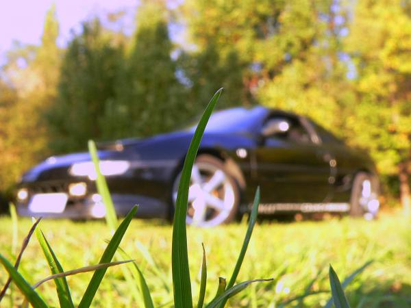 foto k příspěvku  od MaxxT