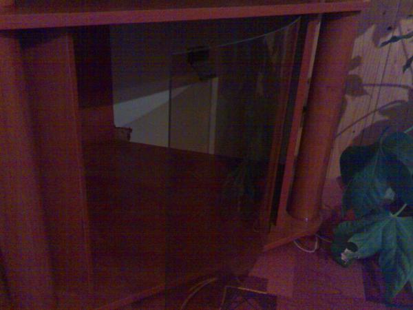 foto k příspěvku  od PAVELK