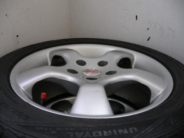 foto k příspěvku  od miri