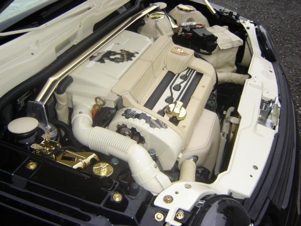 foto k příspěvku  od rogerr