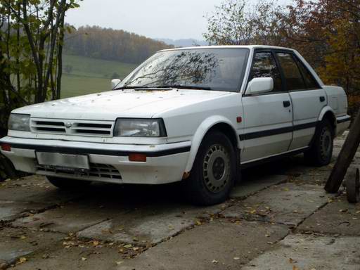 foto k příspěvku  od lisky