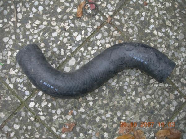 foto k příspěvku  od M.Á.R.A.