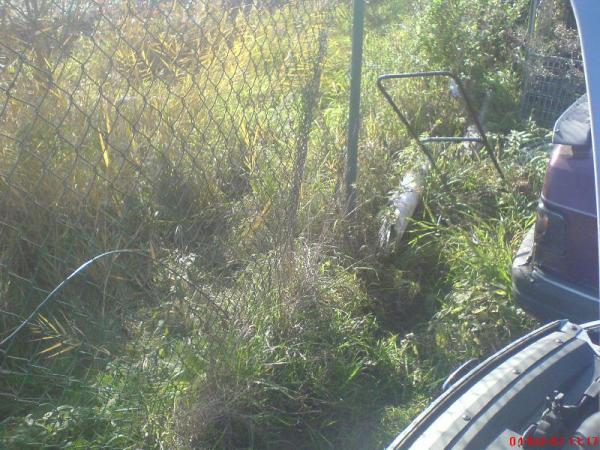 foto k příspěvku  od Samantus