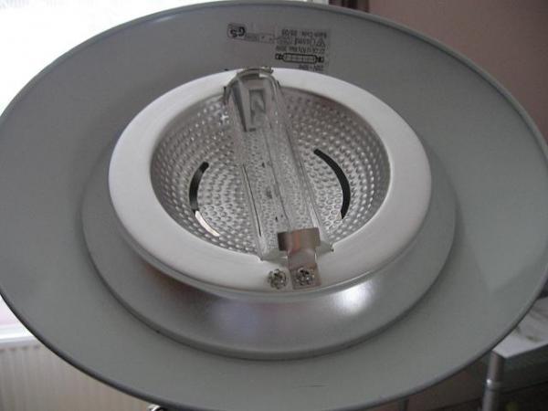 foto k příspěvku  od Kolja