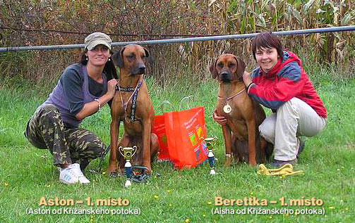 foto k příspěvku  od Paczqo