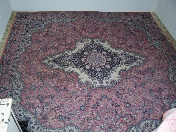 foto k příspěvku  od lisky