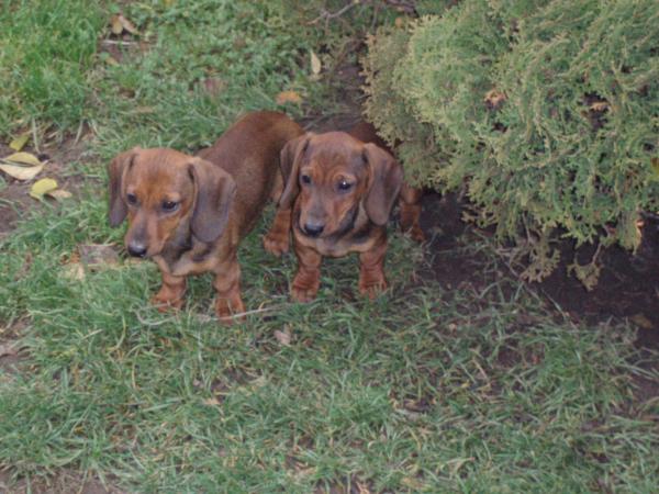foto k příspěvku  od Freerider