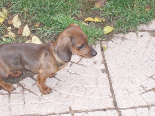 foto k příspěvku  od Freerider