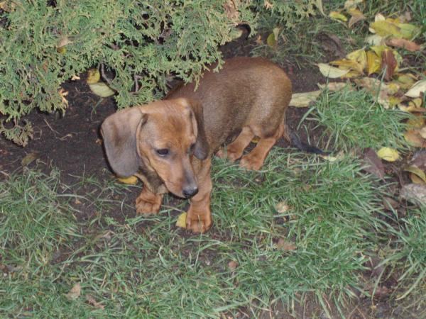 foto k příspěvku  od Freerider