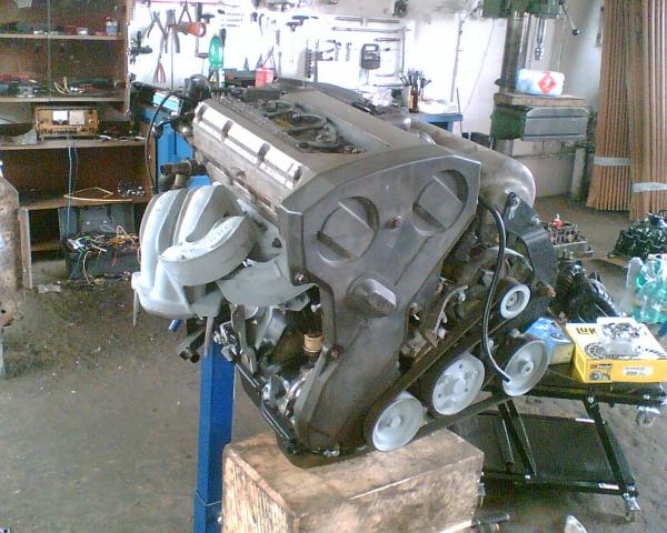 foto k příspěvku  od IbiZien