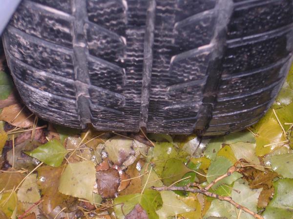 foto k příspěvku  od Escudo