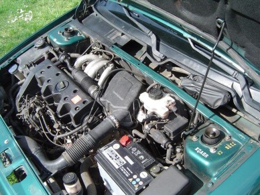 foto k příspěvku  od Dino