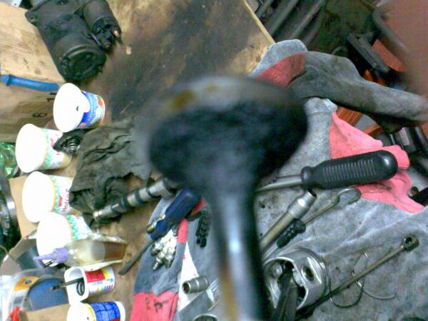 foto k příspěvku  od petis