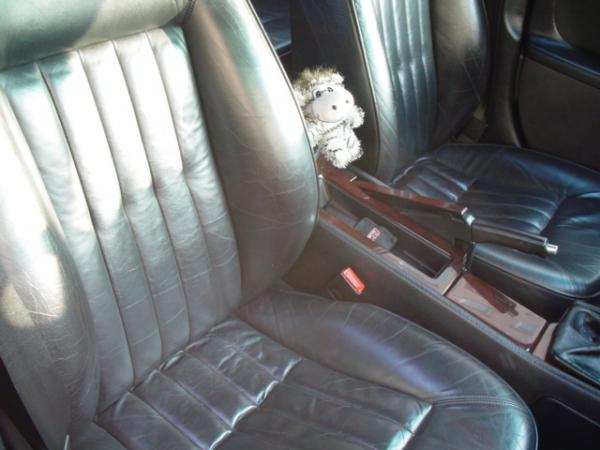 foto k příspěvku  od france