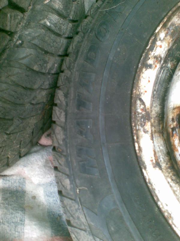 foto k příspěvku  od golfista hanz