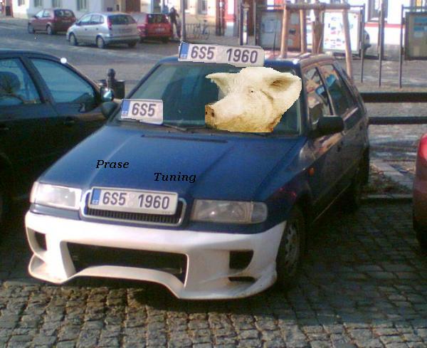 foto k příspěvku  od Majk-fox