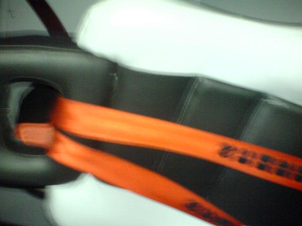 foto k příspěvku  od Mlaďas