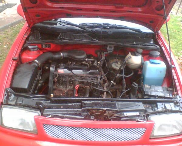 foto k příspěvku  od IbiZien