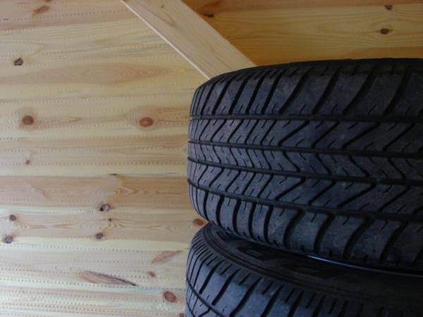 foto k příspěvku  od free.tree