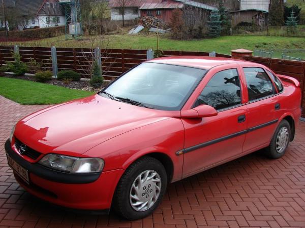 foto k příspěvku  od free.tree