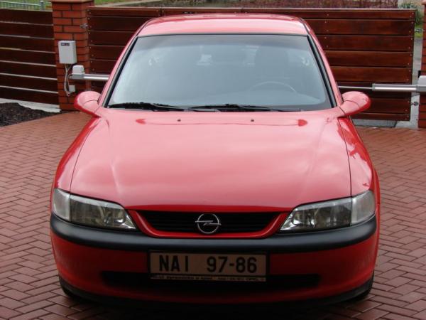 foto k příspěvku  od free.tree