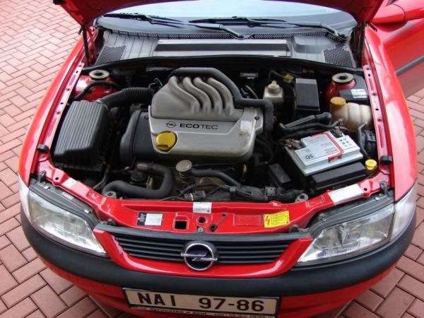 foto k příspěvku  od free.tree