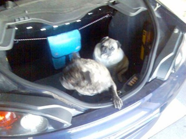 foto k příspěvku  od PumaDědek