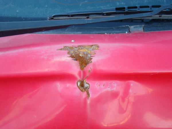 foto k příspěvku  od Tas