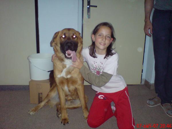 foto k příspěvku  od Unihero