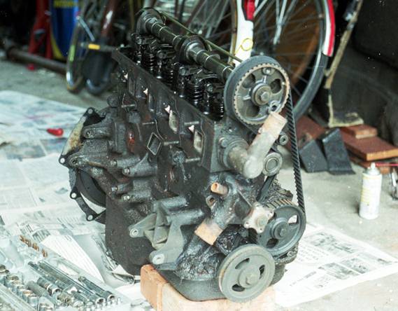 foto k příspěvku  od Newman