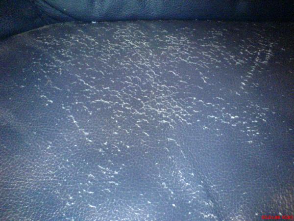 foto k příspěvku  od haskyvr6