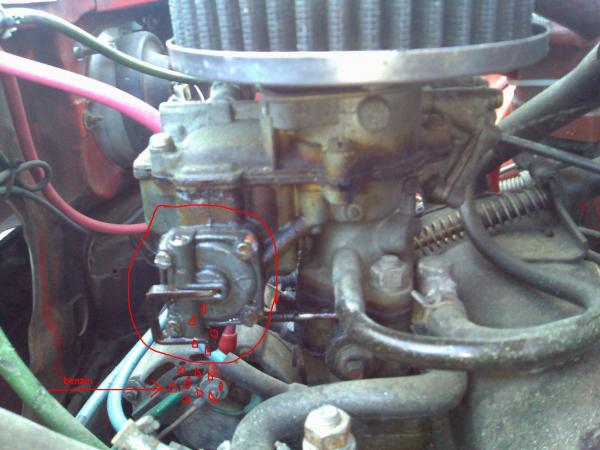 foto k příspěvku  od Aligátor