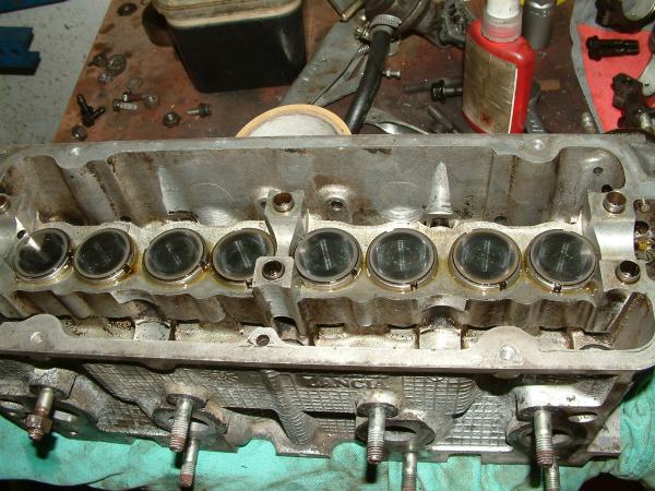 foto k příspěvku  od petis