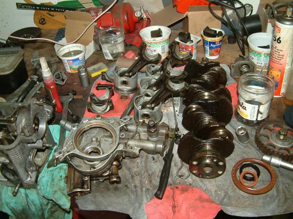 foto k příspěvku  od petis