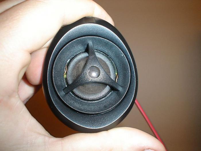 foto k příspěvku  od Goldies