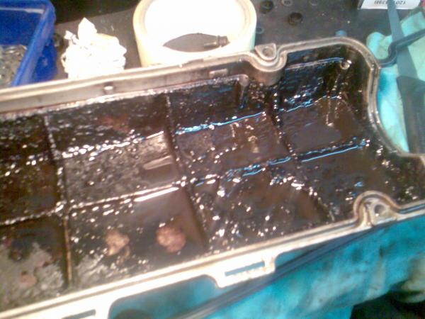 foto k příspěvku  od petis