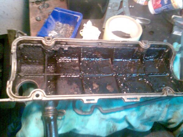 foto k příspěvku  od petis