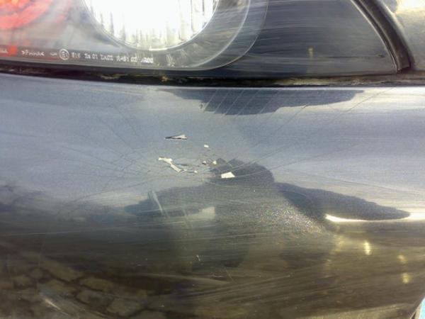 foto k příspěvku  od webster5