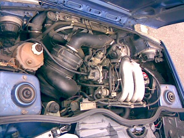 foto k příspěvku  od Proffesor_W