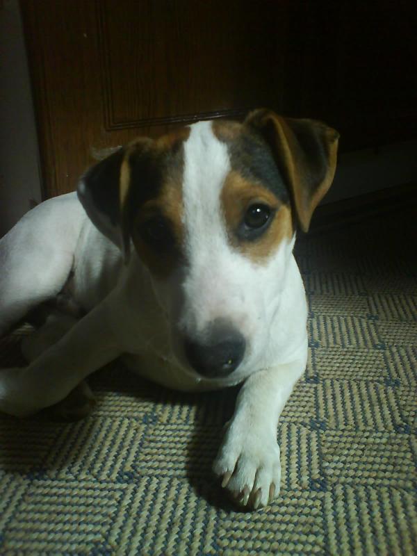 foto k příspěvku  od Enismo