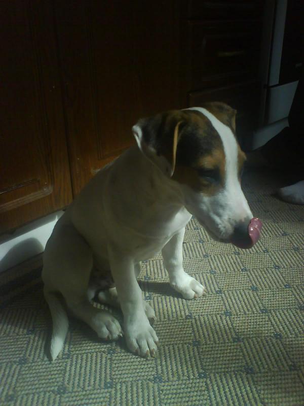 foto k příspěvku  od Enismo