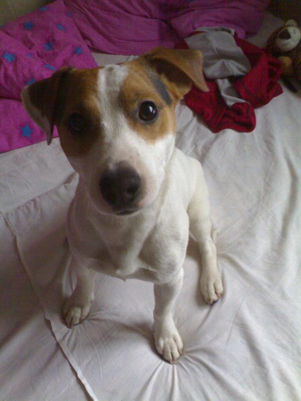 foto k příspěvku  od Enismo