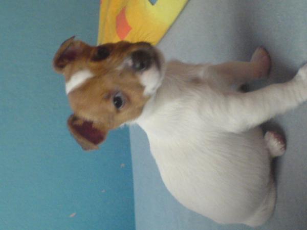 foto k příspěvku  od MustafaCZ