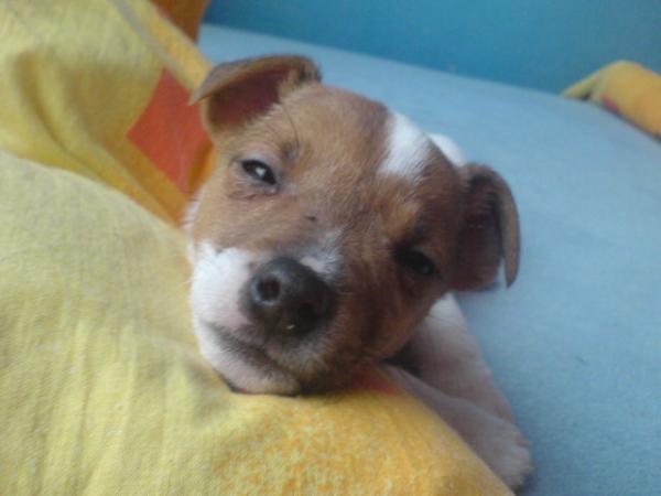 foto k příspěvku  od MustafaCZ