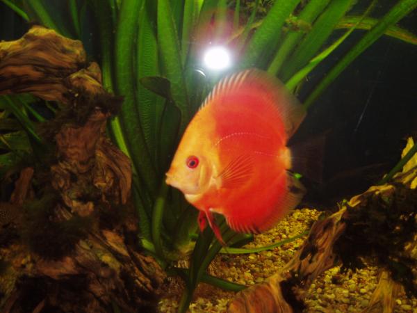 foto k příspěvku  od dddd